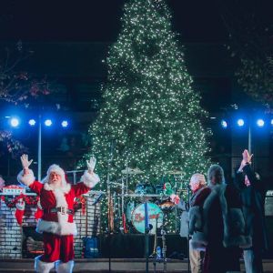 11/22 Waverly Place Tree Lighting