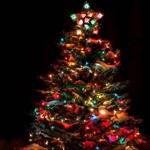 12/05 Brier Creek Tree Lighting Ceremony