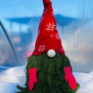 Needmore Farms - Christmas