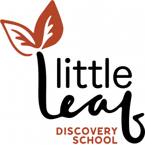 Little Leaf Discovery School Summer Camps