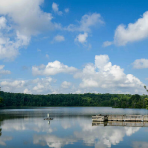 Lake Raleigh Recreation Area