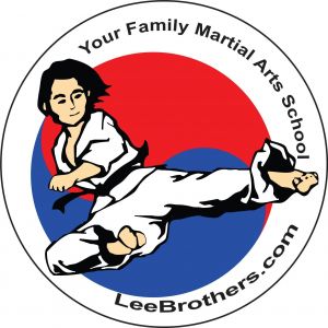 Lee Brothers Tae Kwon Do Birthday Party