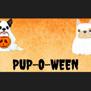 10/09/2022 Pup-O-Ween at Fortnight Brewing Co