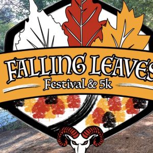 Falling Leaves Festival and 5k at Rolesville High School