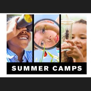 NC Museum of Natural Sciences Camps