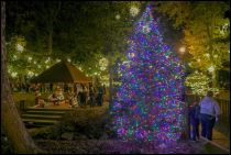 12/05 Town Tree Lighting Fuquay-Varina