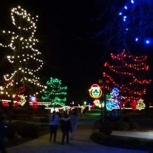 11/28 - 12/28 Hill Ridge Farms' Festival of Lights