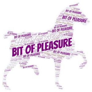 Bit of Pleasure Horse School