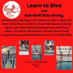 Red Wolf Elite- Learn to Dive Classes