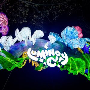 02/18/2023 - 04/09/2023 LuminoCity Festival at Pullen Park