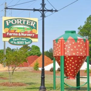 Porter Farms and Nursery - (Willow Springs)