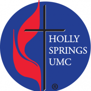 Holly Springs UMC VBS