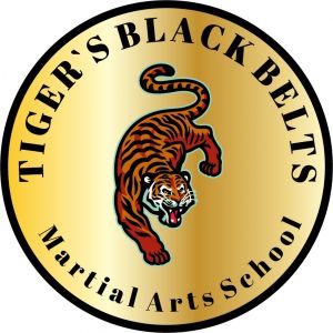 Tiger's Black Belts Martial Arts Birthday Party