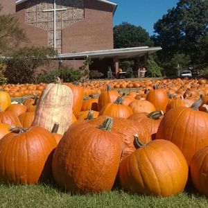 10/07 - 10/31 Highland United Methodist Church Pumpkin Patch