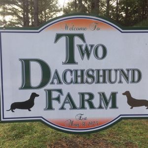 Two Dachshund Farm