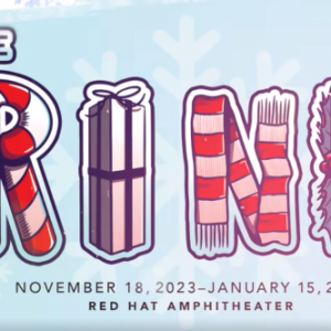 11/19 - 1/14 The Rink's Special Programming