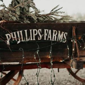 Phillips Farm's Country Christmas Tree Lot and Walk Through Light Show