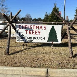 Mountain Branch Farm Christmas Trees