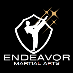 Endeavor Martial Art Camps