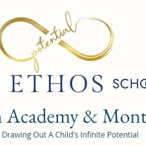 Ethos School, The