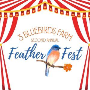 04/27 3 Bluebirds Farm Feather Fest
