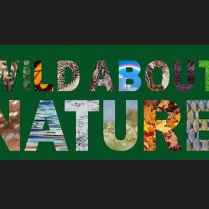 05/11 Wild About Nature Festival at Sugg Farm Park