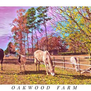 Oakwood Farm Horse Summer Camp