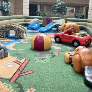 Triangle Town Center Mall Play Area