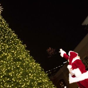 11/23 North Hills Annual Tree Lighting Celebration