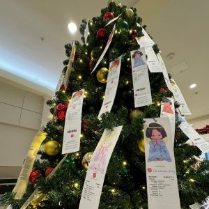 11/08 - 12/05 Wake County Salvation Army Angel Tree