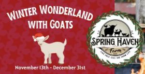 11/13 - 12/31 Spring Haven Farm's Winter Wonderland with Goats