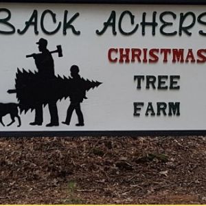 Back Achers Christmas Tree Farm