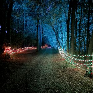 Dr. Young's Pond Winter Lights Extravaganza