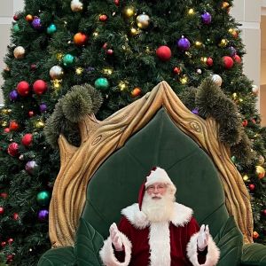 11/23 - 12/24 Santa at Triangle Town Center