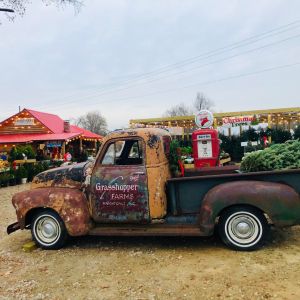 Grasshopper Farms