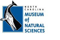 06/21 - 01/11 Spiders: Fear to Fascination at NC Museum of Natural Sciences