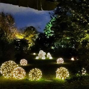 11/06 - 11/22 JC Raulston Arboretum Moonlight in the Garden's Night