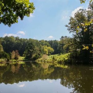 10/18 Annie Louise Wilkerson Nature Preserve's Spooky Nature Walk