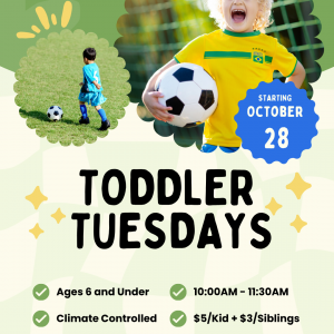 Quadra's Toddler Hour Soccer