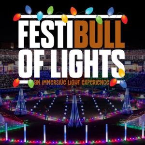 11/20 - 01/03 FestiBull of Lights