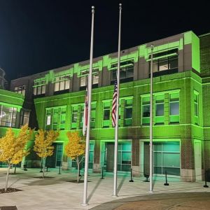 Operation Greenlight