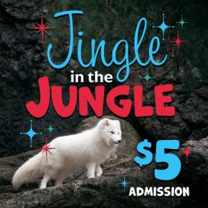 NC Zoo Jingle the Jungle