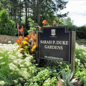 Sarah P. Duke Gardens Camps