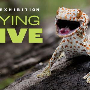 03/14 - 08/23 Staying Alive Special Exhibition Opens at NC Museum of Natural Sciences