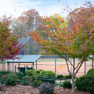 Lions Park (Cary)
