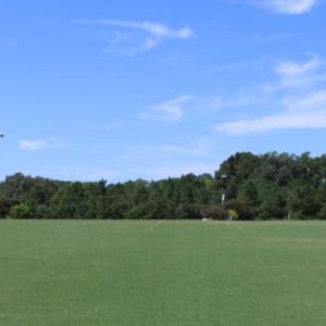 Thompson Road Park