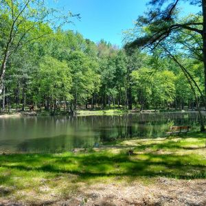 Knightdale Environmental Park and Trails