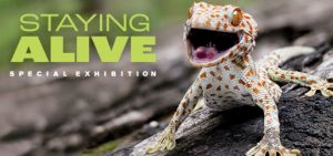 03/14 - 08/23 Staying Alive Special Exhibition Opens at NC Museum of Natural Sciences