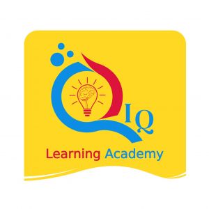 QIQ Learning Academy Camps
