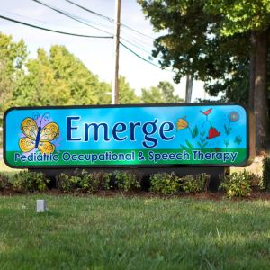 Emerge Pediatric Therapy Camps